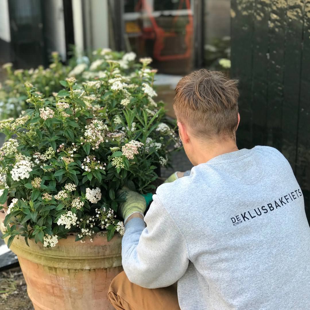 Binnen 